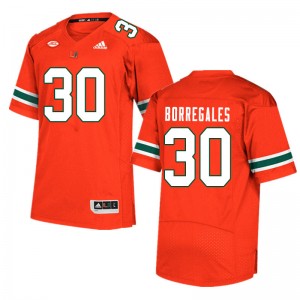 Men Jose Borregales Orange Miami College Football #30 Jersey 421122-245