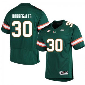 Men Andres Borregales Green Miami Hurricanes College Football #30 Jersey 991742-809