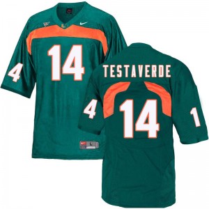 Men Vinny Testaverde Green Miami Hurricanes College Football #14 Jersey 723931-941
