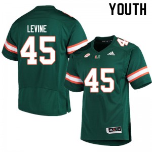 Youth Bryan Levine Green Miami Adidas Football #45 Jersey 711513-727